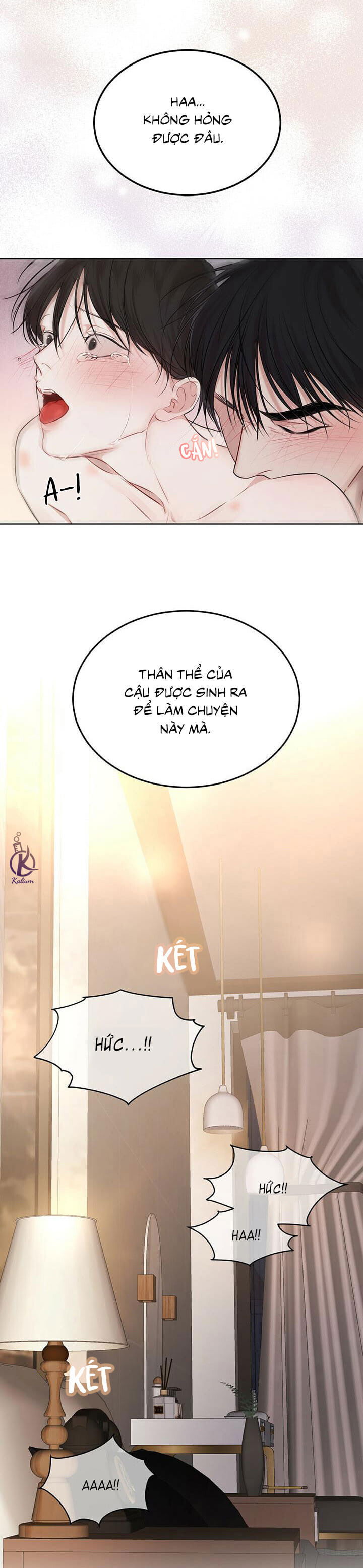 hình thái khởi sinh chapter 28 36