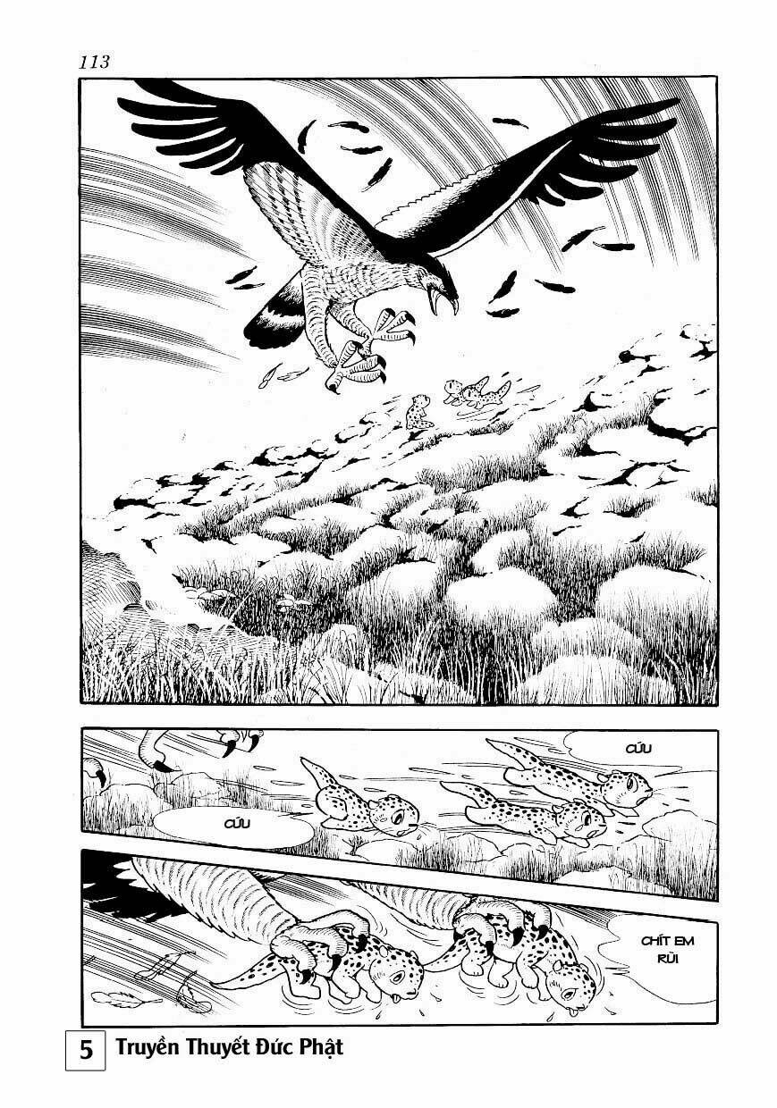 buddha - truyền thuyết đức phật chapter 25.1 4