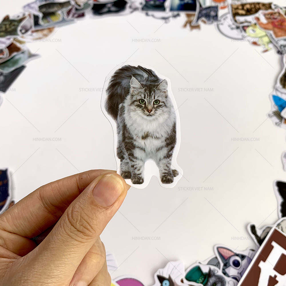 Bộ sticker chủ đề Mèo - Cat - Boss 2019, decal hình dán thú cưng  chống nước, trang trí nón bảo hiểm, điện thoại, lap top