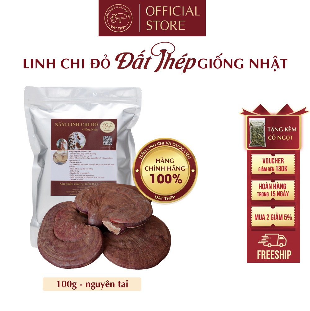 Trà Nấm Linh Chi Đỏ Đất Thép Giống Nhật 100g - Giải độc gan - Ổn định đường huyết