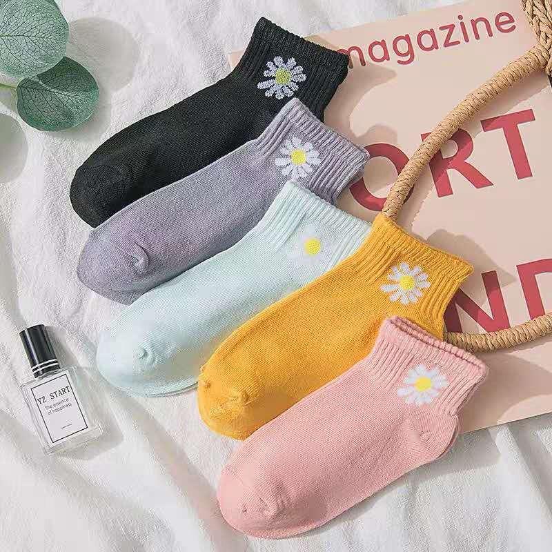 Tất hoa cúc cho bạn nữ, tất hoa cúc Hot trend - Giao màu ngẫu nhiên