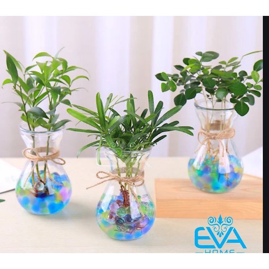 Lọ thủy tinh trang trí căm hoa miệng loe 7,5cm cao 14cm kèm dây đay..