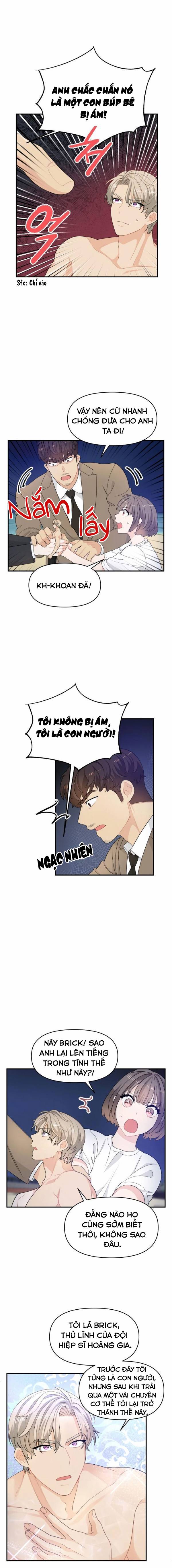 bảo vệ tôi, hiệp sĩ chapter 11 7