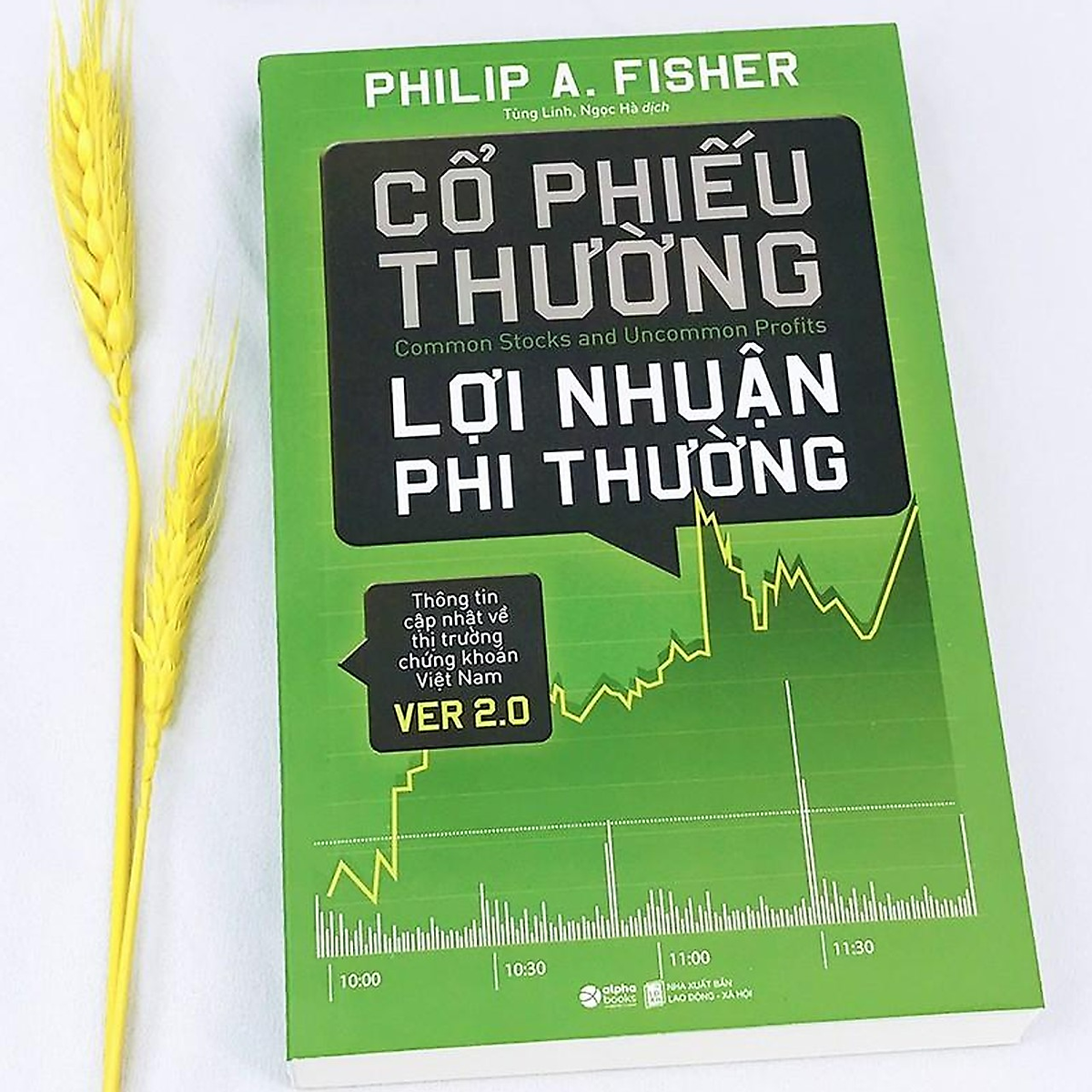 Cổ Phiếu Thường, Lợi Nhuận Phi Thường (Tái Bản)