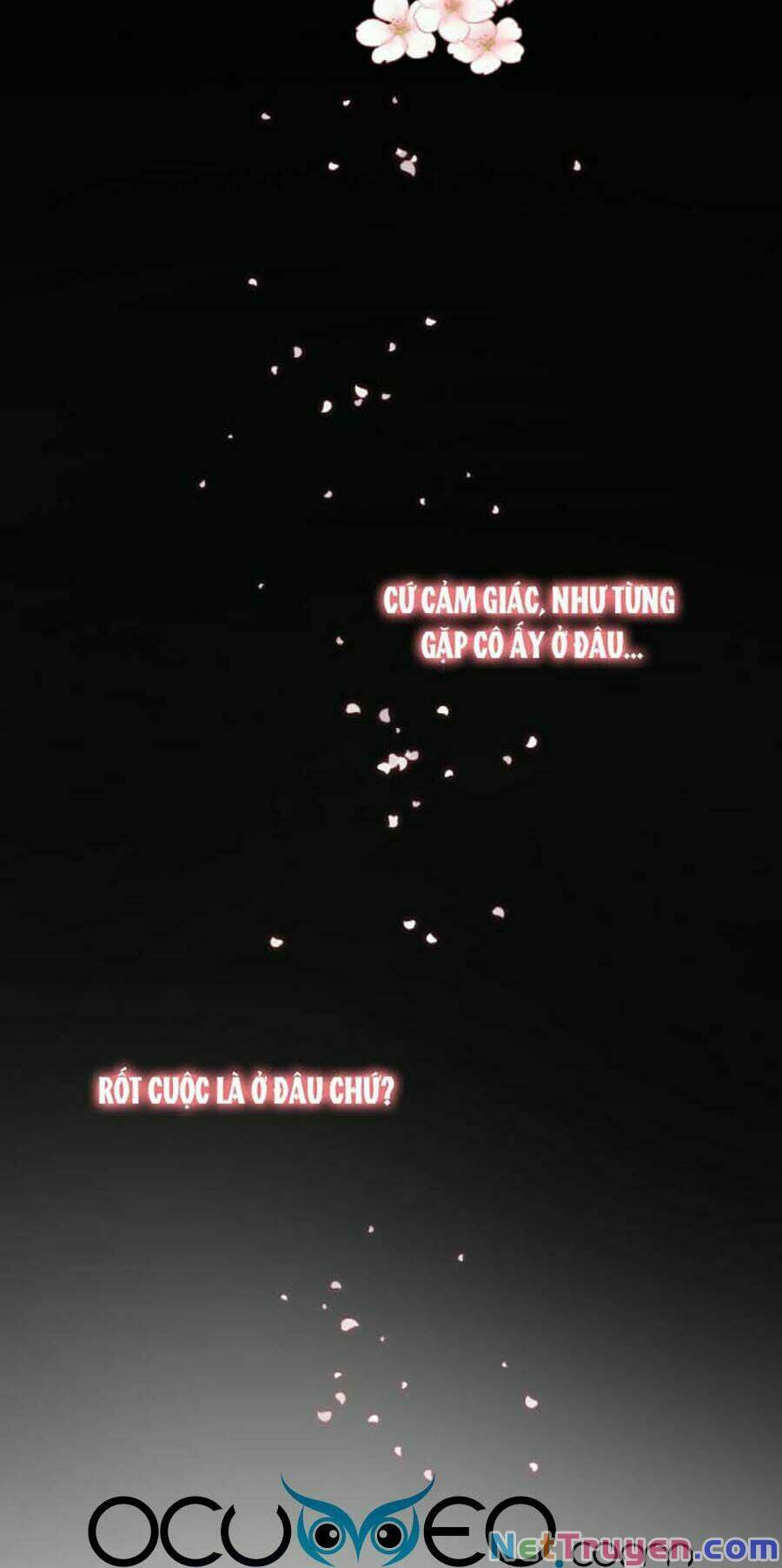 cô vợ gả thay của tổng tài cố chấp chapter 38 14