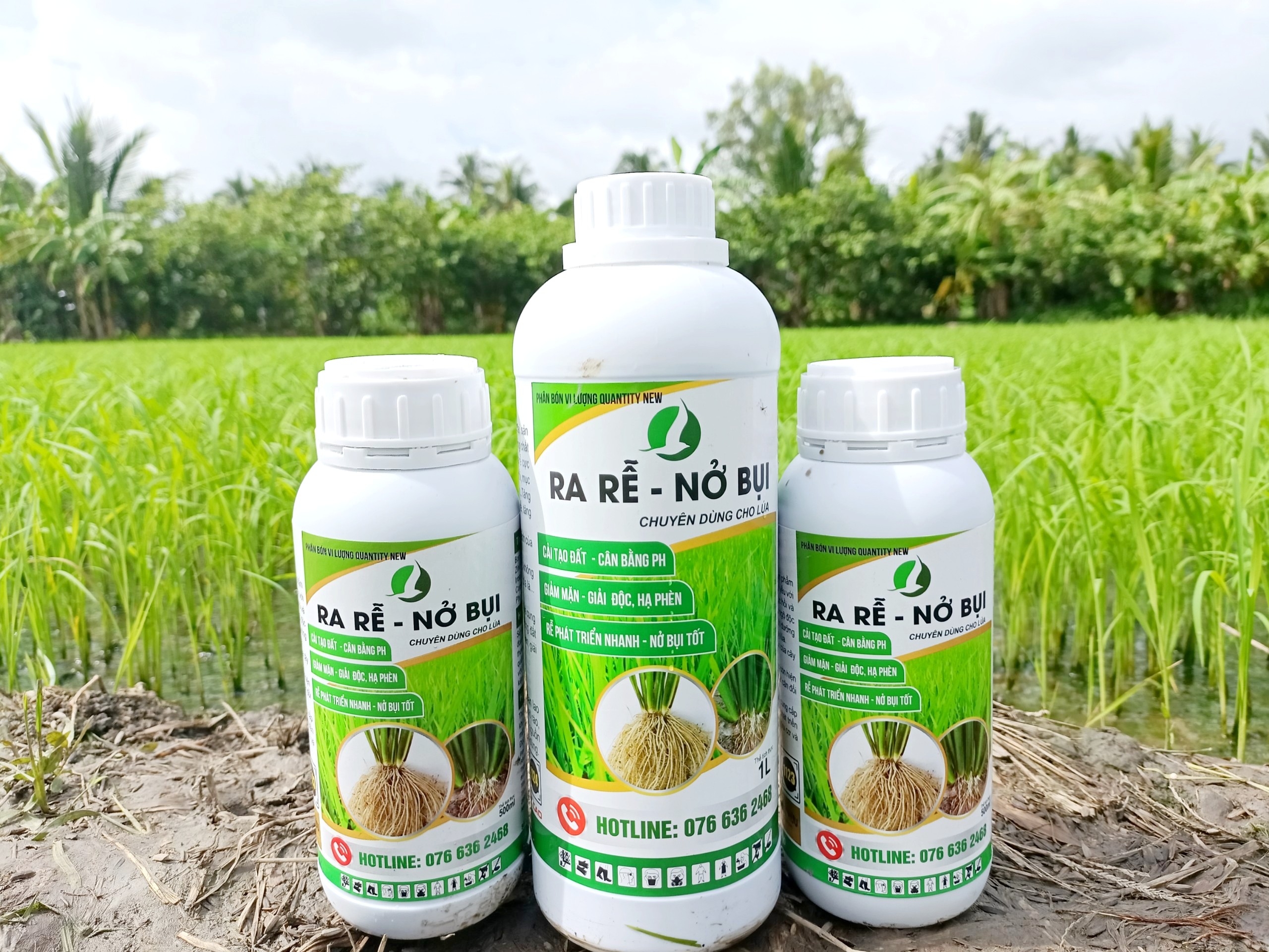 PHÂN BÓN GIÚP LÁ LÚA XANH MƯỚT, CHỐNG VÀNG LÁ, RA RỄ, ĐẺ NHÁNH CỰC MẠNH - RA RỄ NỞ BỤI CHAI 500Ml VÀ 1L