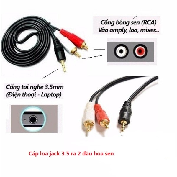 Dây loa 1 đầu 3.5 ra 2 AV dài 5m