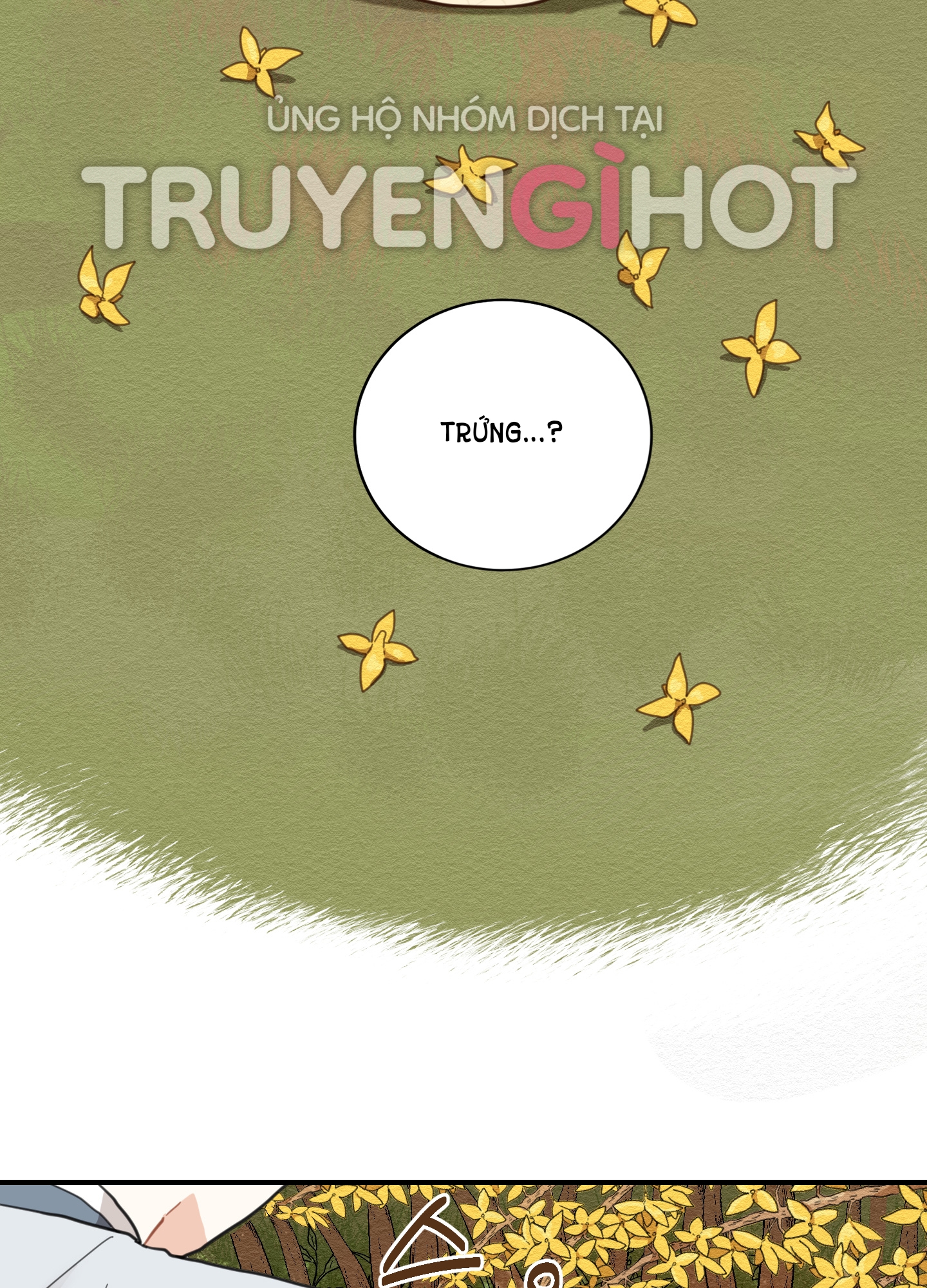 [18+] con đường hoa chuông vàng - liên kiều rơi chốn này chapter 1.1 31