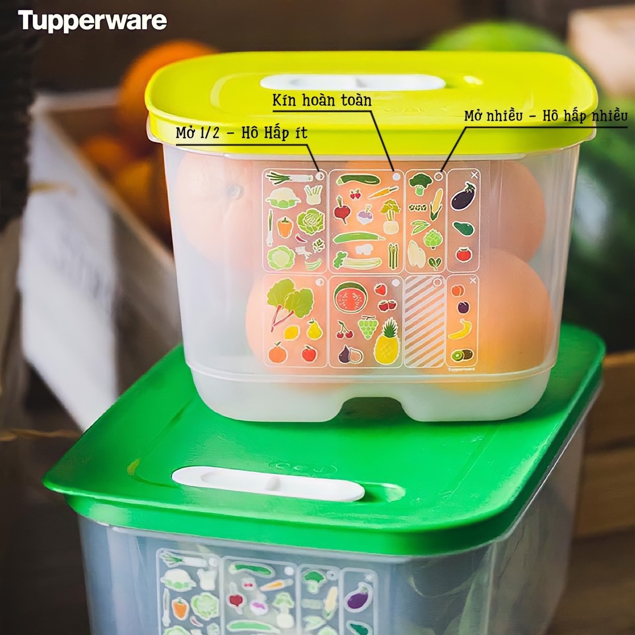 Hộp Trữ Mát Có Nút Hô Hấp Tupperware Vensmart 6.1L