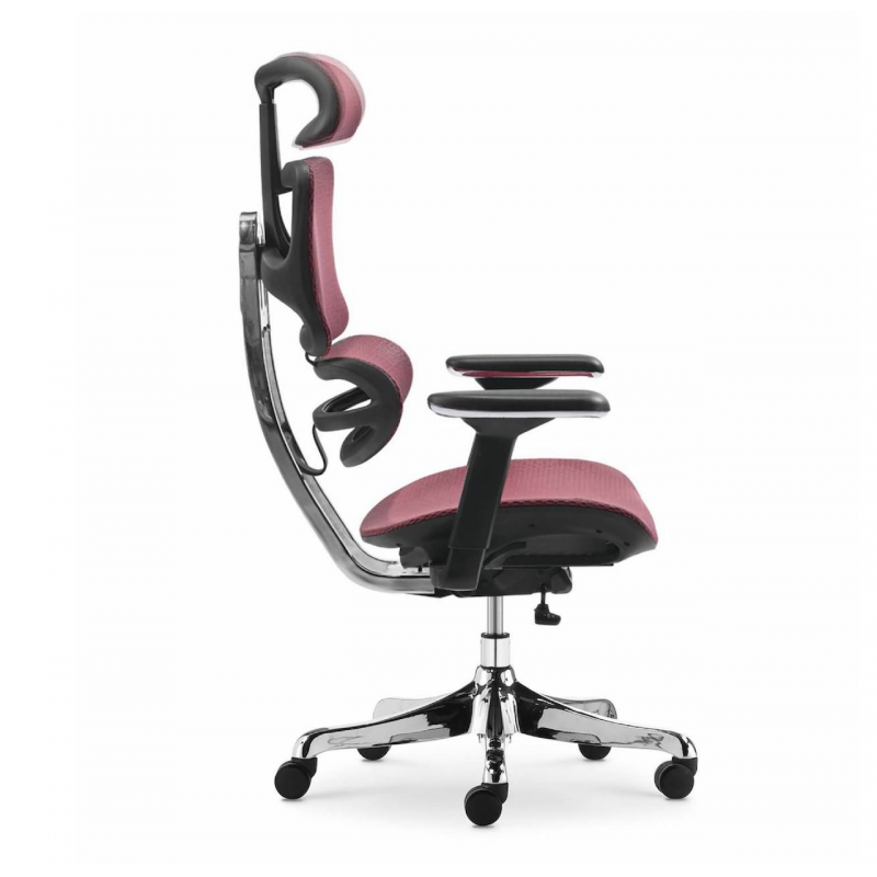 Ghế Làm Việc Công Thái Học - Ergonomics Ngả Lưng Thư Giãn AMA-CM-B137A