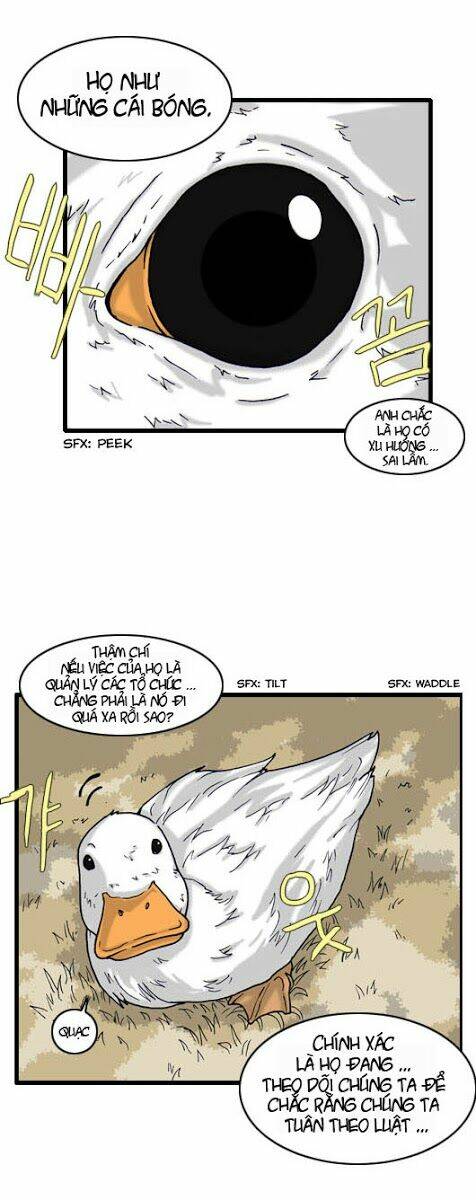 chess isle chapter 7 12