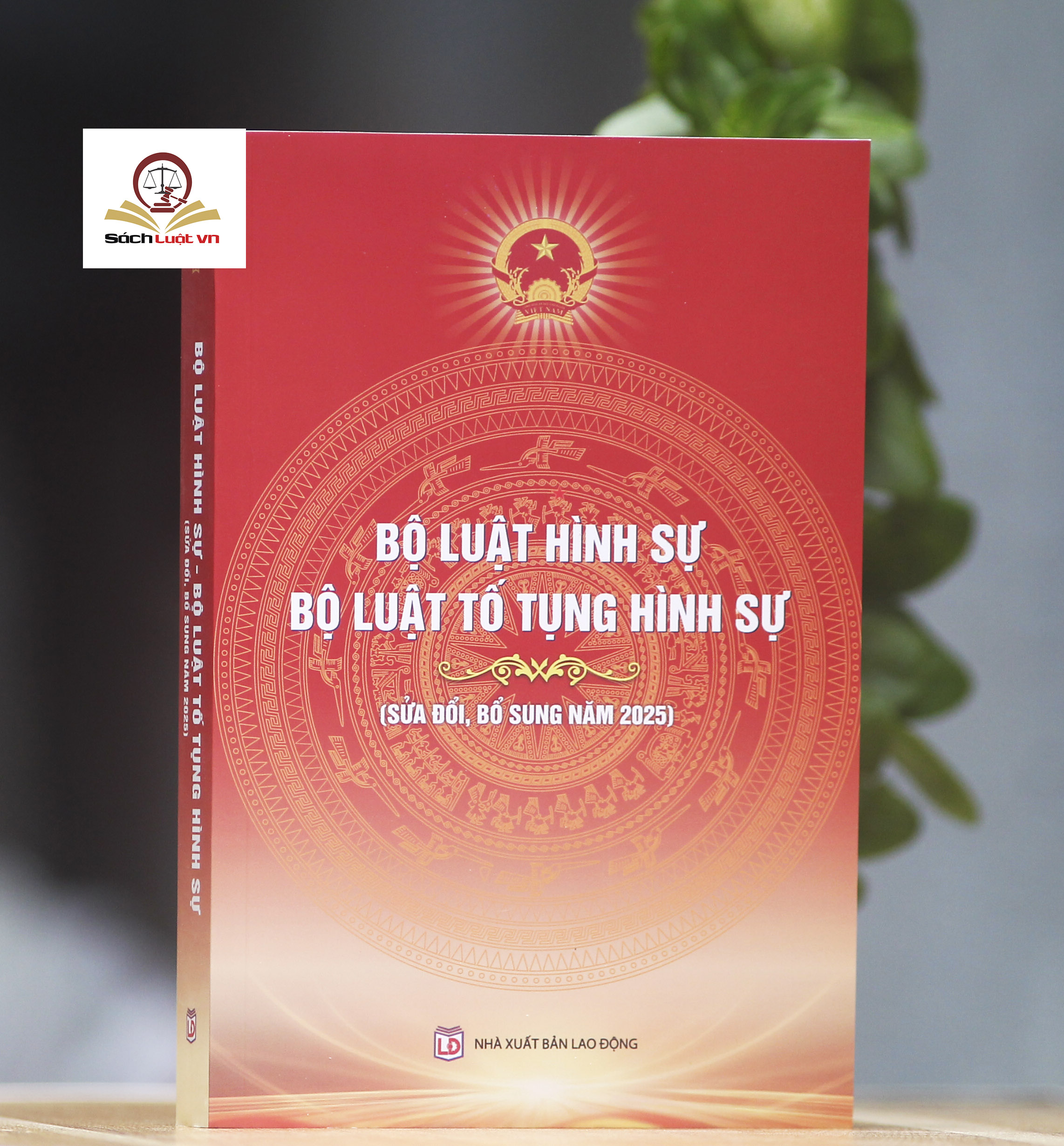 Bộ luật Hình sự, Bộ luật Tố tụng Hình sự (sửa đổi, bổ sung năm 2025)