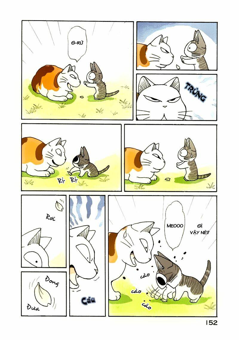 chi's sweet home chapter 38 15