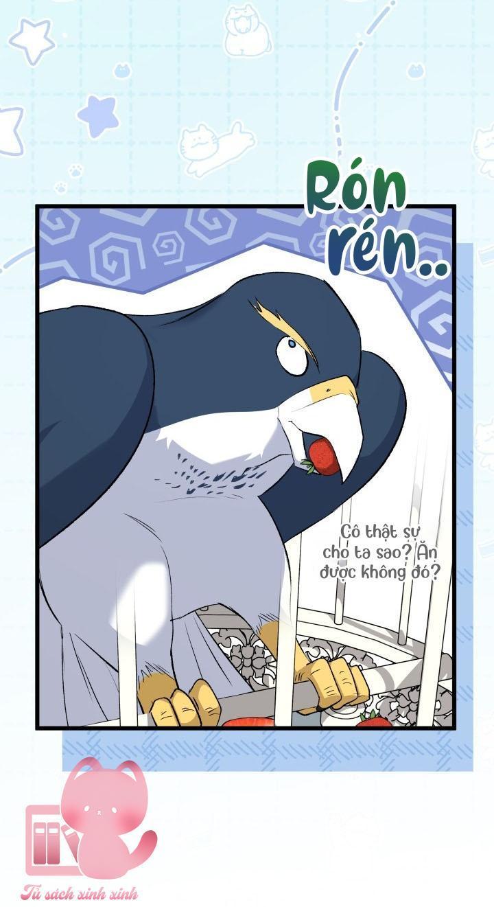 quan hệ cộng sinh giữa báo đen và thỏ trắng chapter 85 33