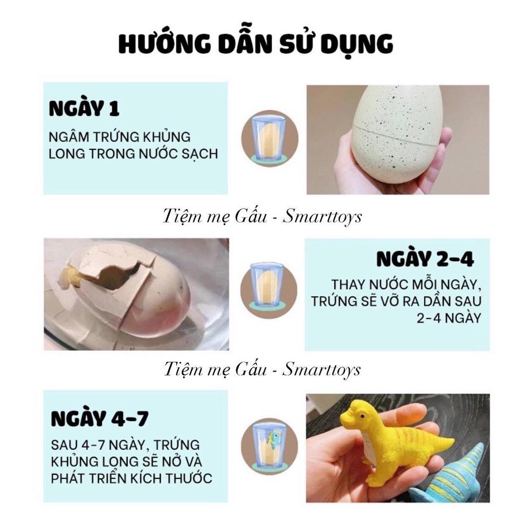 ĐỒ CHƠI KHOA HỌC, KHÁM PHÁ HATCHING DINOSAUR EGGS TOY TRỨNG KHỦNG LONG NGÂM NƯỚC TỰ NỞ