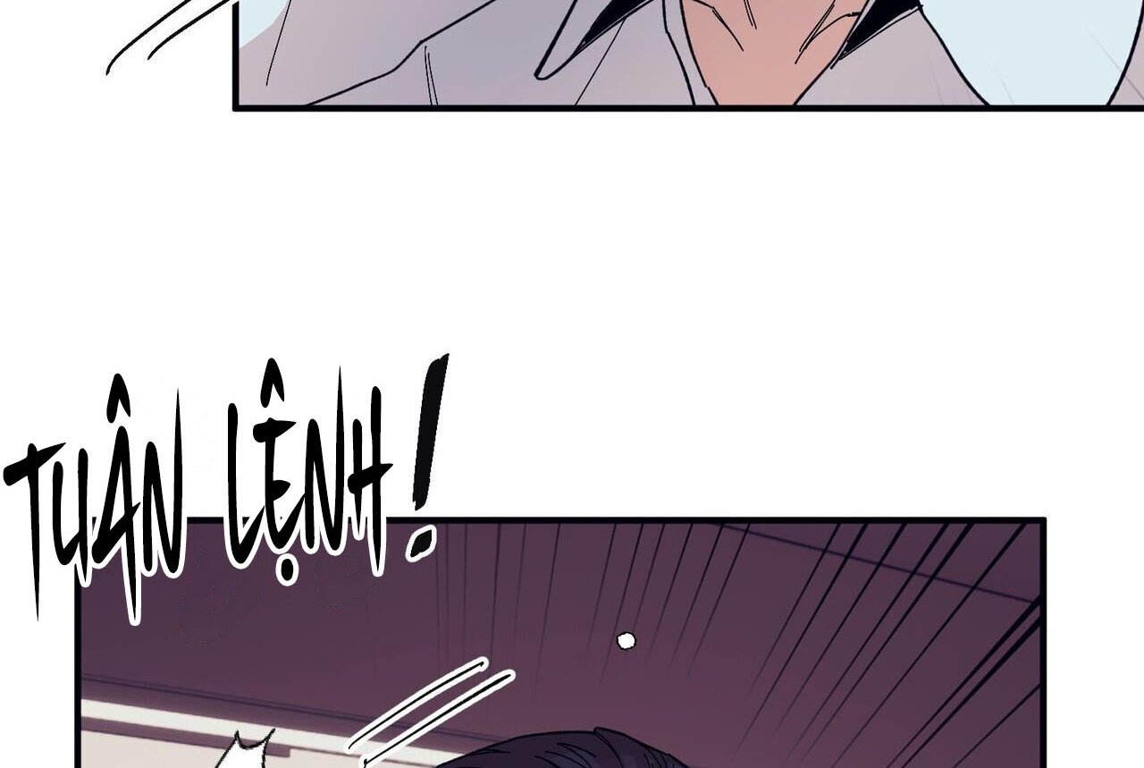 chàng dâu nhà họ kang chapter 46 177