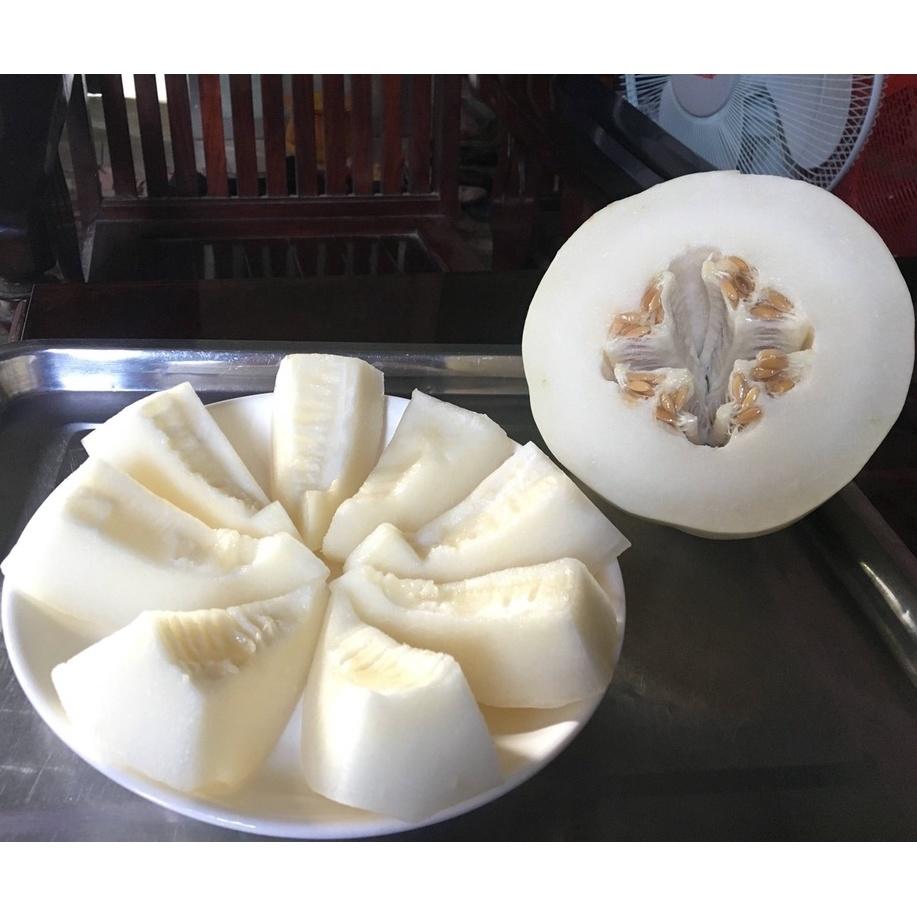 10 Hạt giống Dưa Bạch Mã F1 - Dưa Lê Siêu Ngọt 1-1,5kg/quả