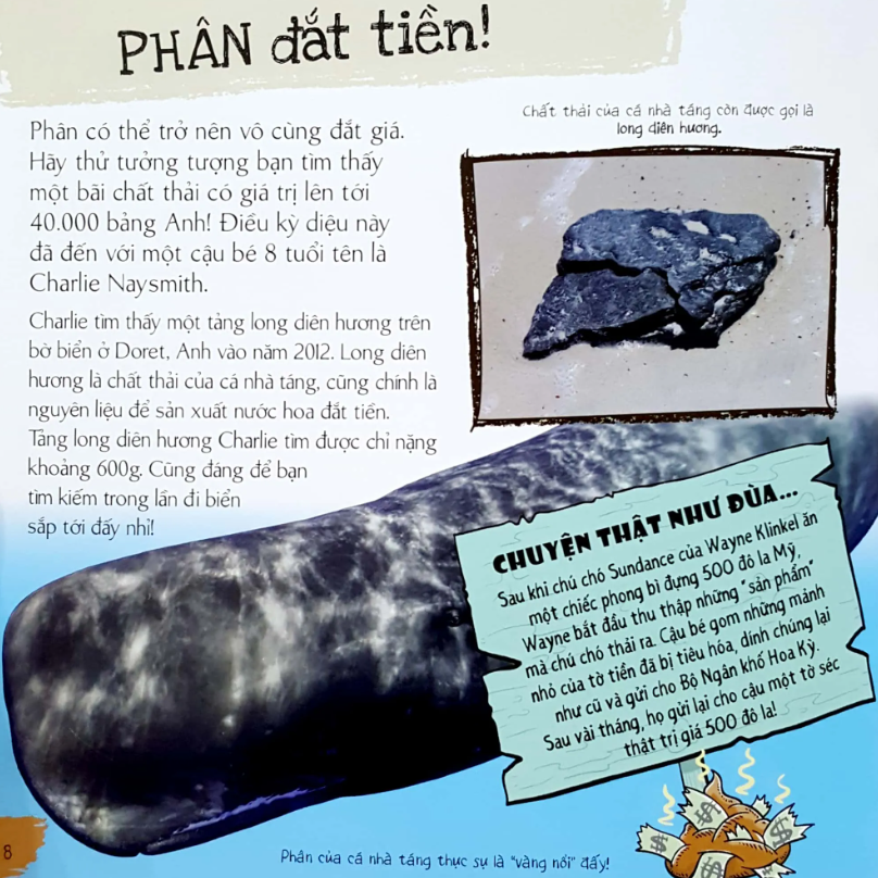 Phân Của Muôn Loài