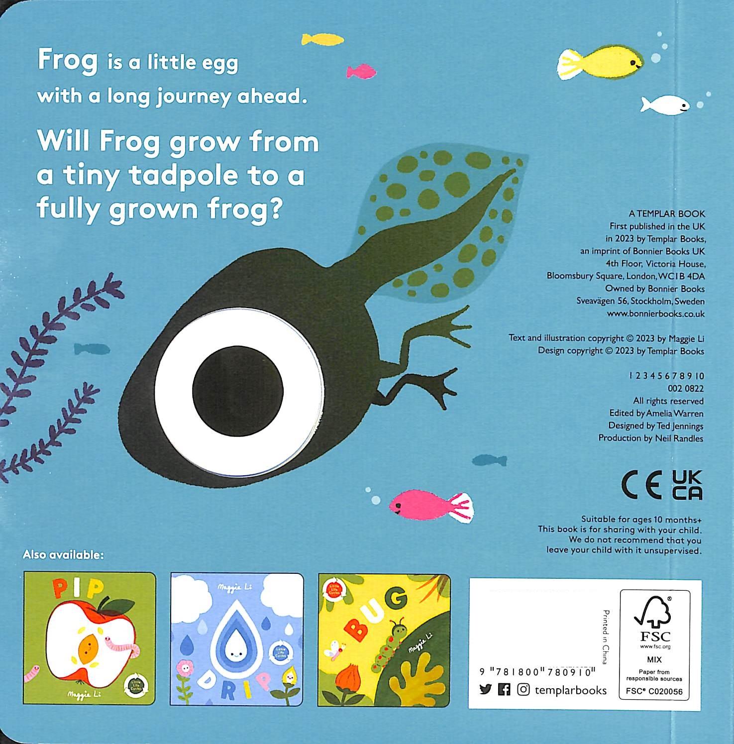 Sách ngoại văn: Little Life Cycles - Frog