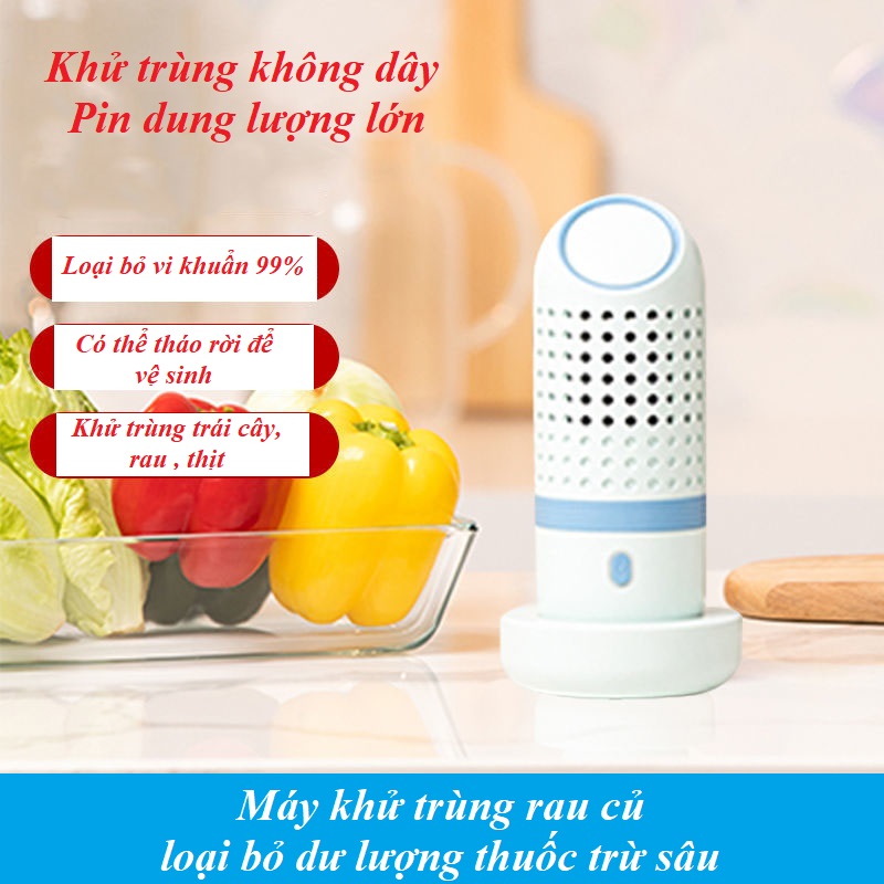 Máy khử trùng rau củ quả, thịt, cá - Loại bỏ dư lượng thuốc bảo vệ thực vật