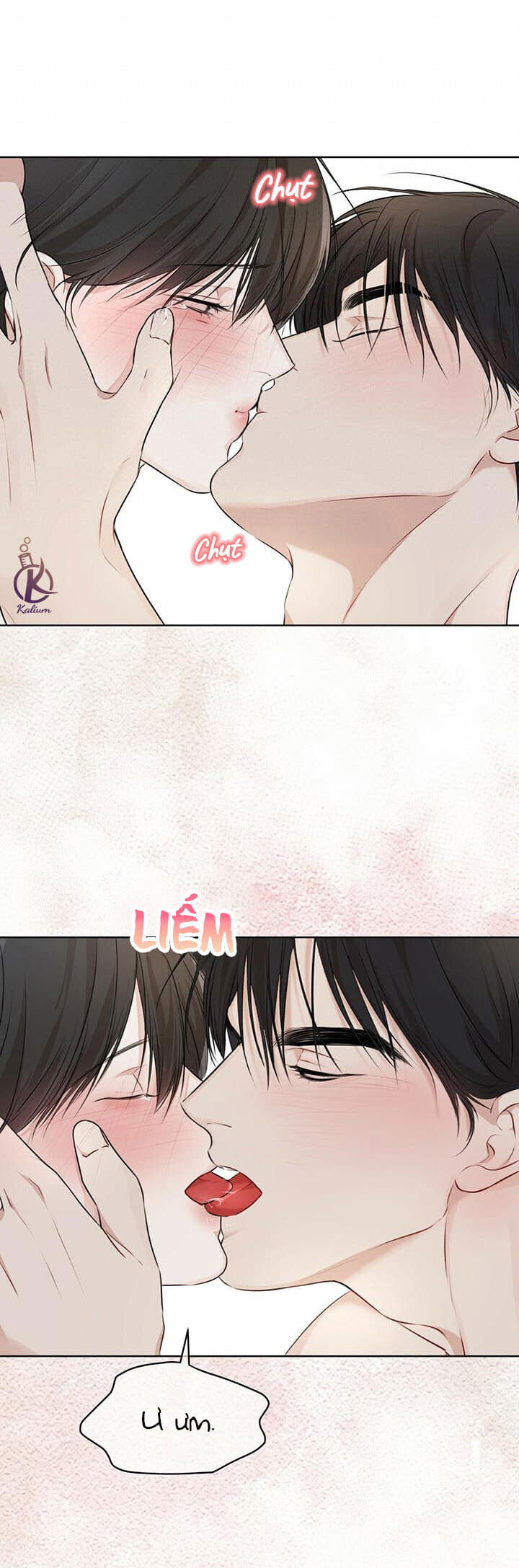 hình thái khởi sinh chapter 29 33