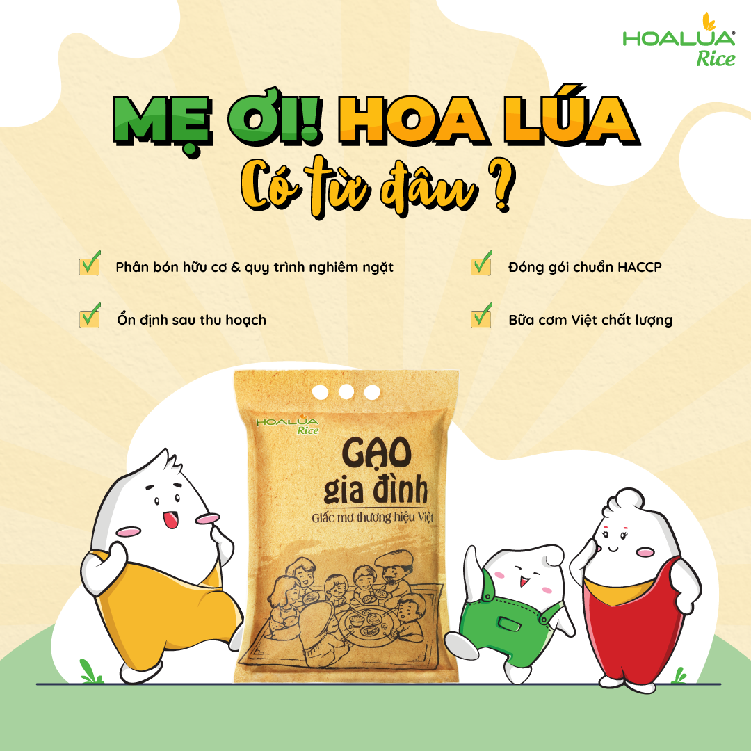 GẠO GIA ĐÌNH 5kg - Gạo Hoa Lúa