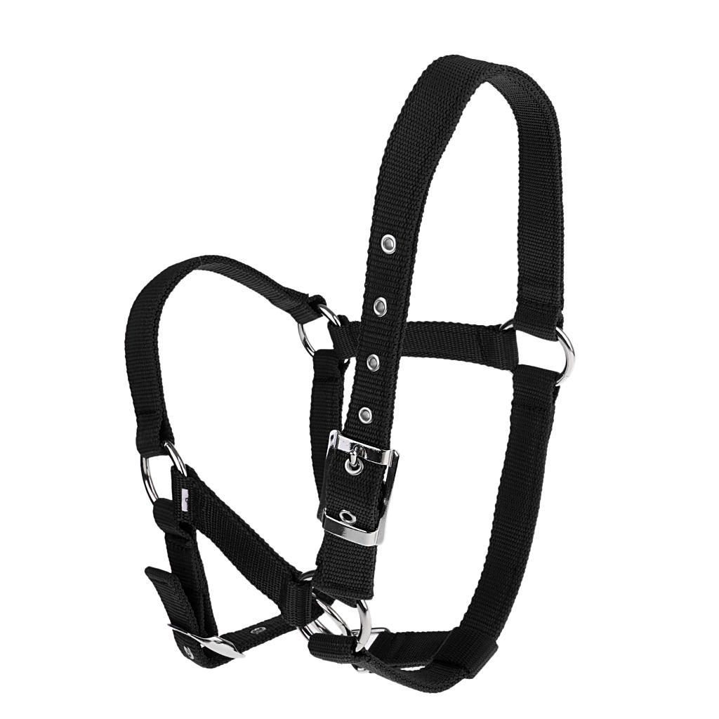 Adjustable Nylon Webbing Equestrian Western Horse Halter Horse Riding Wear