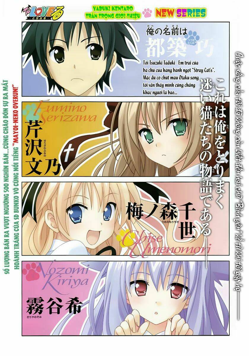 mayoi neko overrun! chapter 1 6