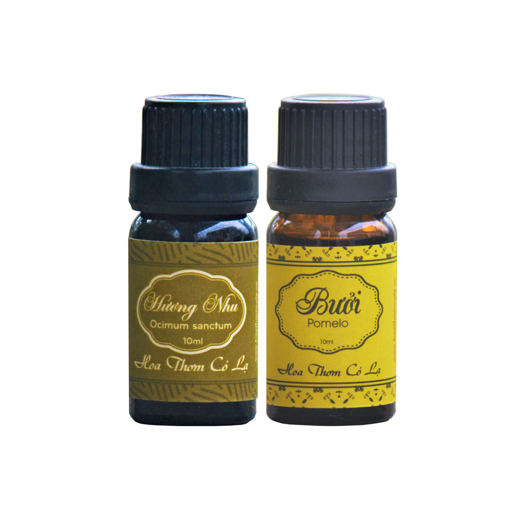 Combo 2 Tinh dầu chăm sóc Tóc: Hương nhu + Bưởi nguyên chất (10ml/lọ)