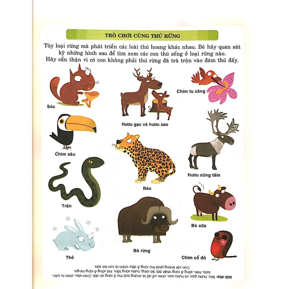 Sách Từ Điển Khoa Học Của Bé - Bé Tập Khám Phá