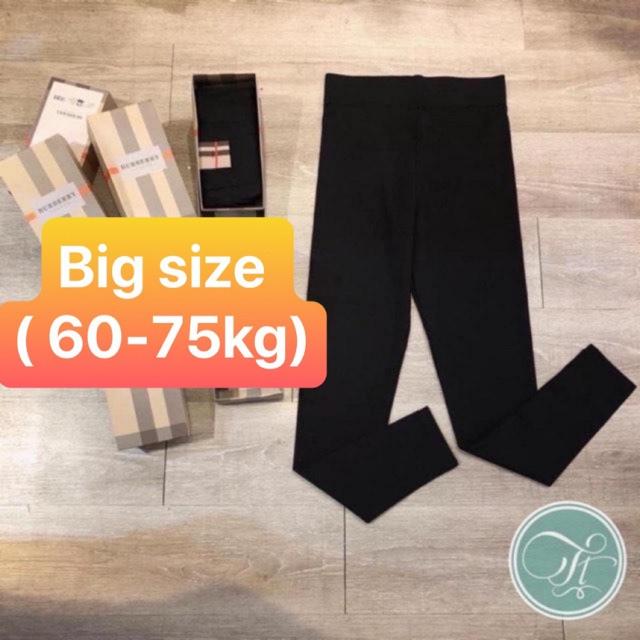 Legging bigsize (60-75kg