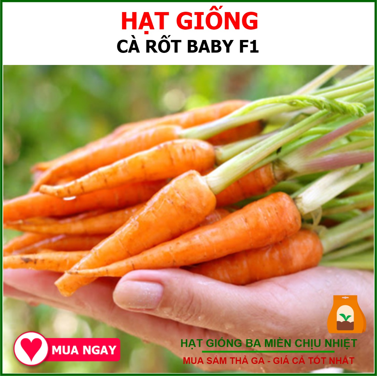 Hạt Giống Cà Rốt Baby Gói 2gram Sen Vàng