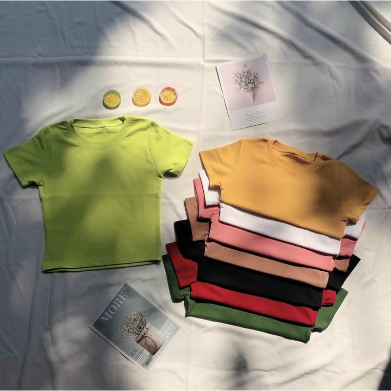 Áo thun trơn body tay ngắn chất borip co giãn nhẹ