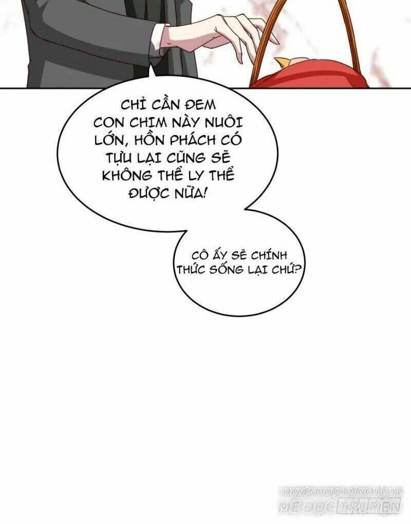 mộ thiếu, lão bà ngươi trọng sinh lại rồi! chapter 50 13