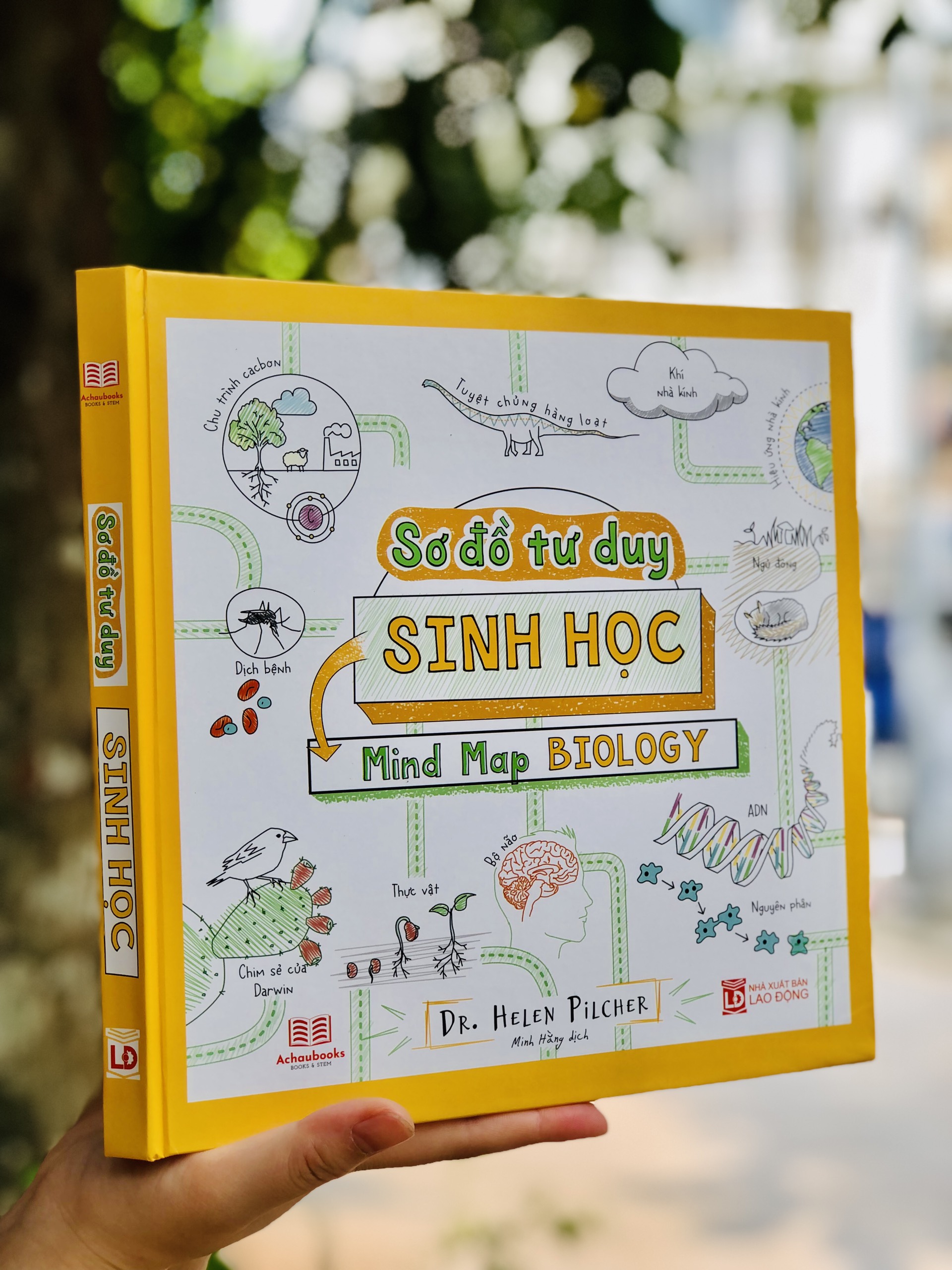 Sách Sinh Học - Sơ Đồ Tư Duy Sinh Học - Bổ Sung Kiến Thức Thế Giới Tự Nhiên Cho Học Sinh Cấp 2, Cấp 3 - Á Châu Books