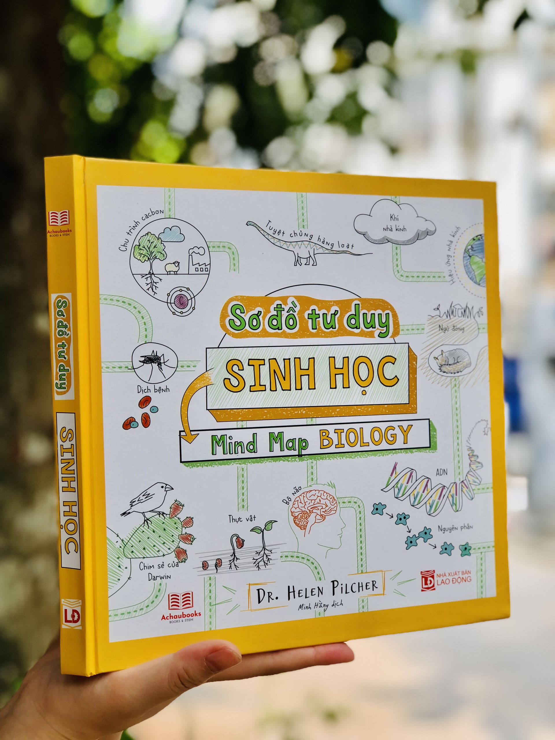 Sách Sinh Học - Sơ Đồ Tư Duy Sinh Học ( Mind Map Biology ) -  Bổ Sung Kiến Thức Thế Giới Tự Nhiên Cho Học Sinh Cấp 2, Cấp 3 - Á Châu Books