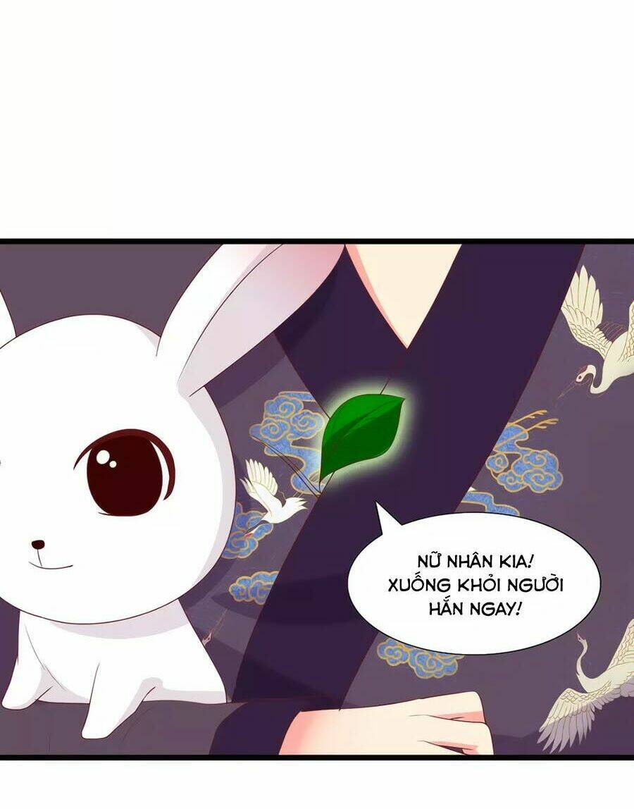 thỏ yêu tiểu vương phi chapter 97 15