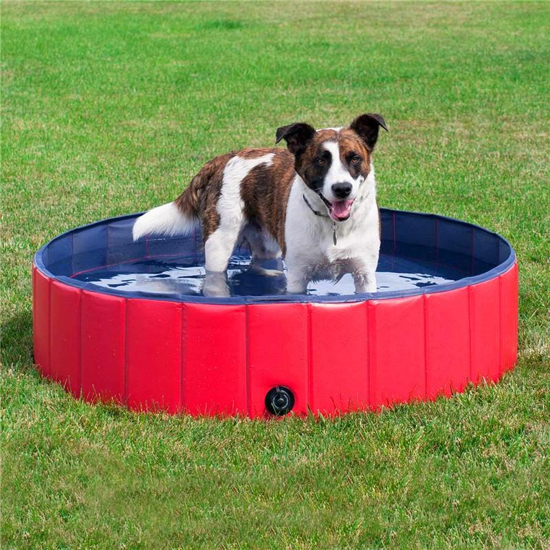 Hồ bơi tắm rửa cho Thú Cưng PORTABLE PAW POOL 80x20cm - AsiaMart