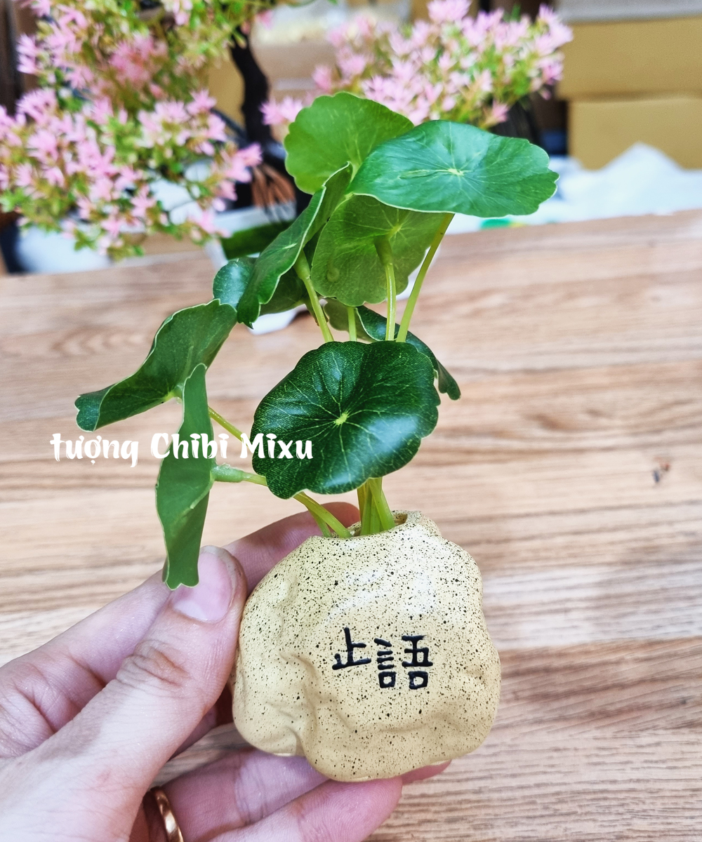 Chậu cây mini kèm nhành lá sen giả trang trí