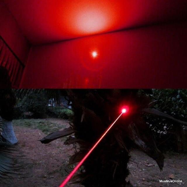 Đèn laze 303