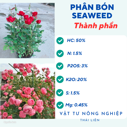 Phân bón lá Seaweed Rong biển, Phân bón hữu cơ - Gói 10 gram