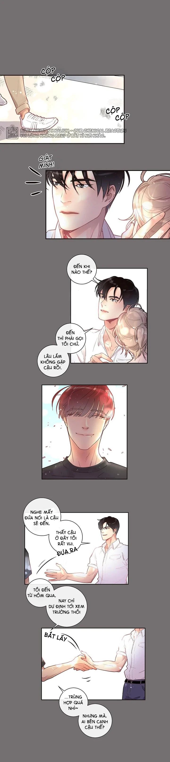 làm cách nào để theo đuổi một alpha? chapter 19 5