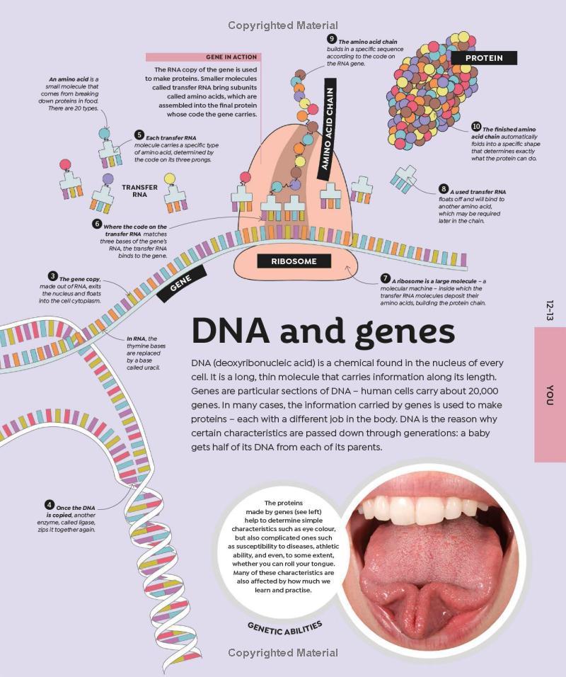 Sách ngoại văn: How Everything Works - From Brain Cells To Black Holes