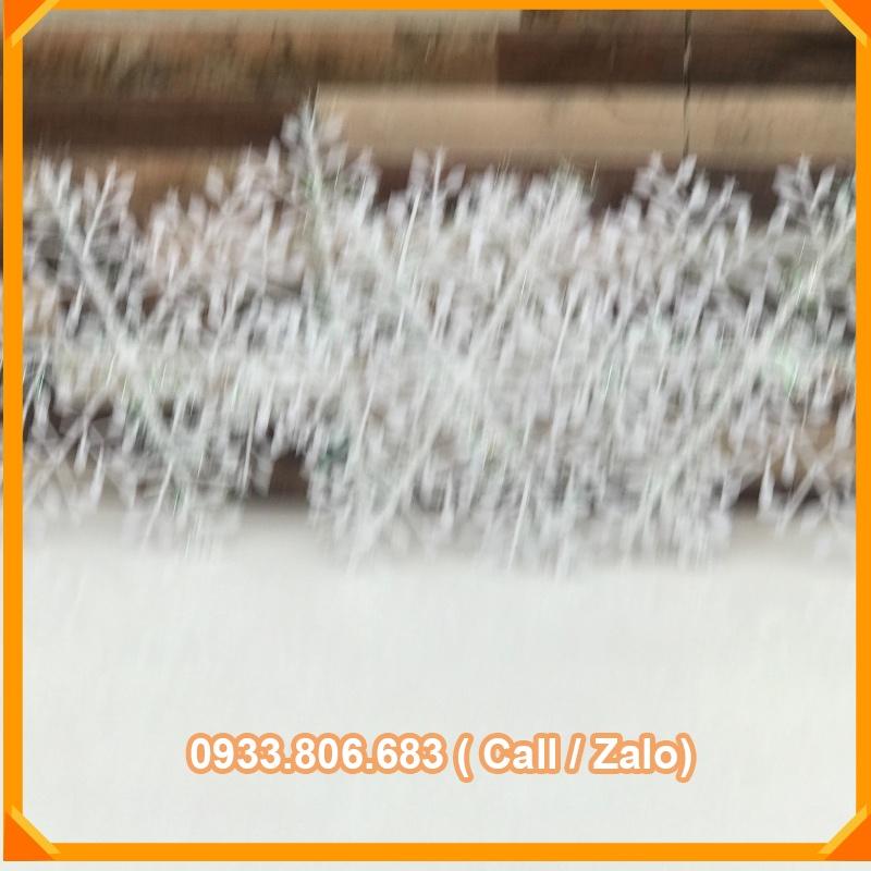 Bông Tuyết Nhân Tạo Bằng Nhựa 11cm -15cm Trang Trí Cây Thông Giáng Sinh Năm Mới