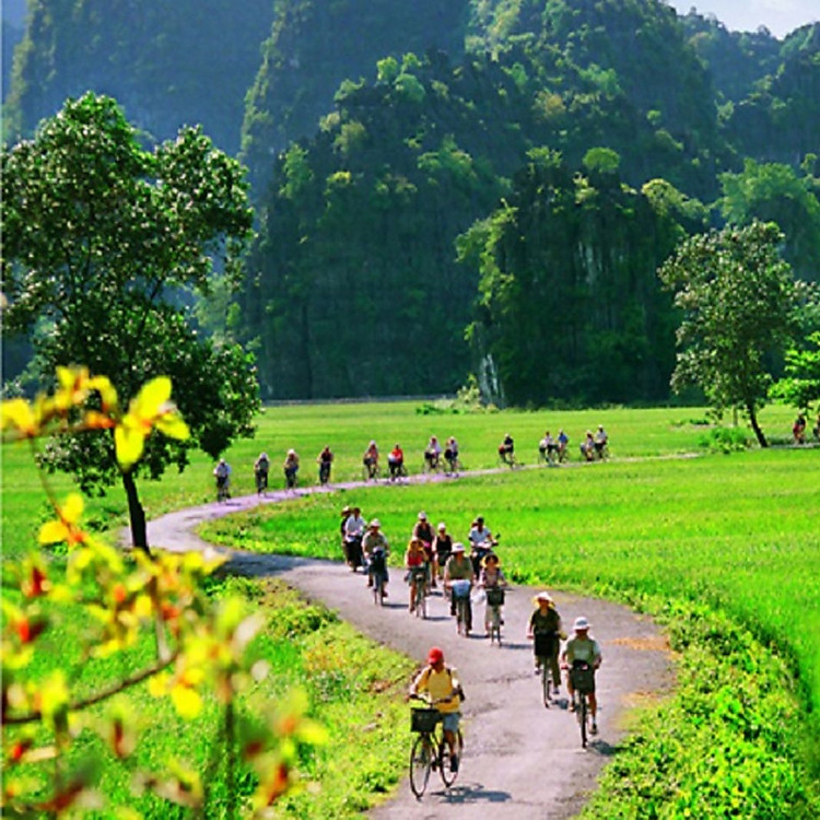 Tour Hà Nội - Hoa Lư - Tam Cốc 01 Ngày, Gồm Bữa Trưa, Khởi Hành Hàng Ngày