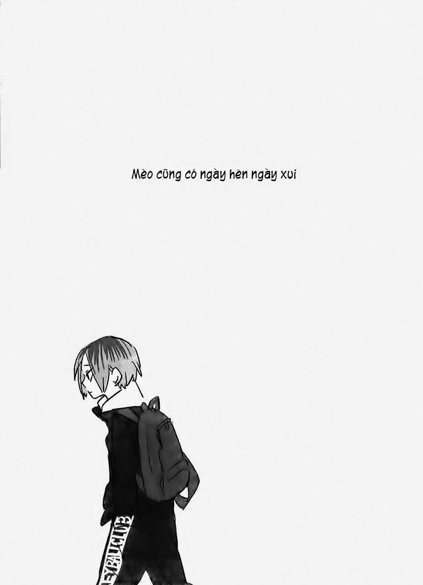 mèo cũng có ngày hên ngày xui chapter 1 3