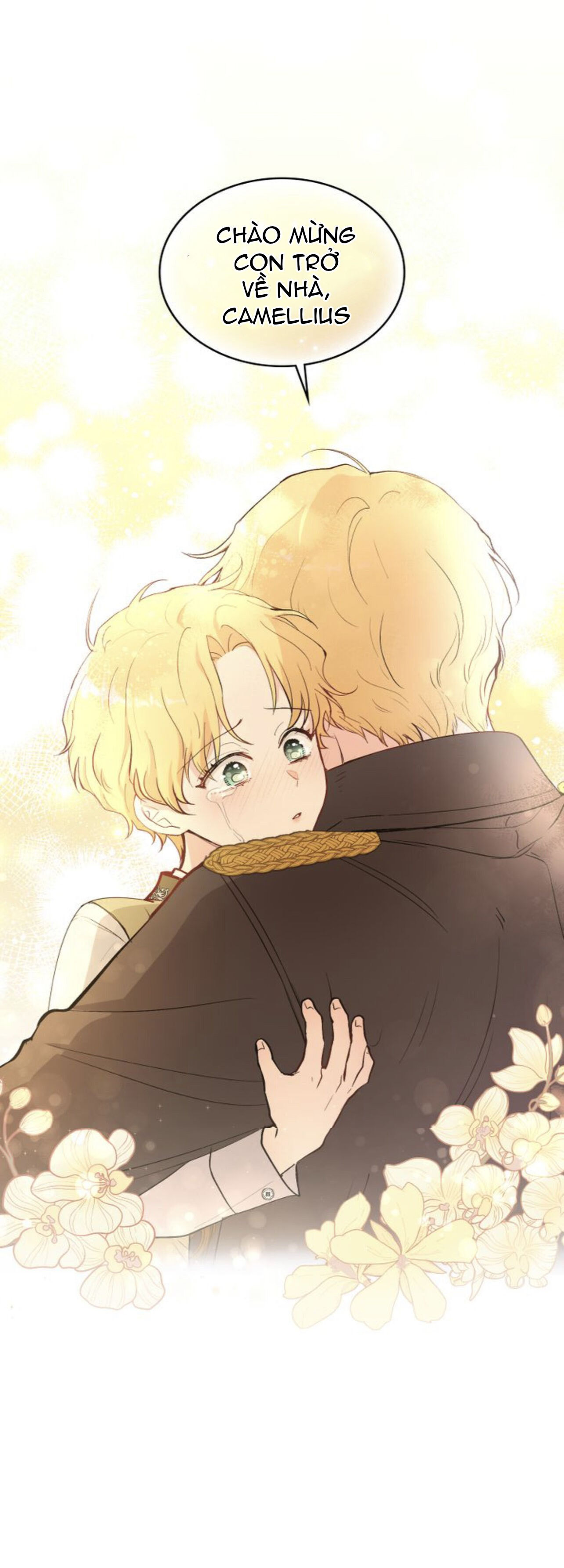 tìm lại nàng camellia chapter 5 31