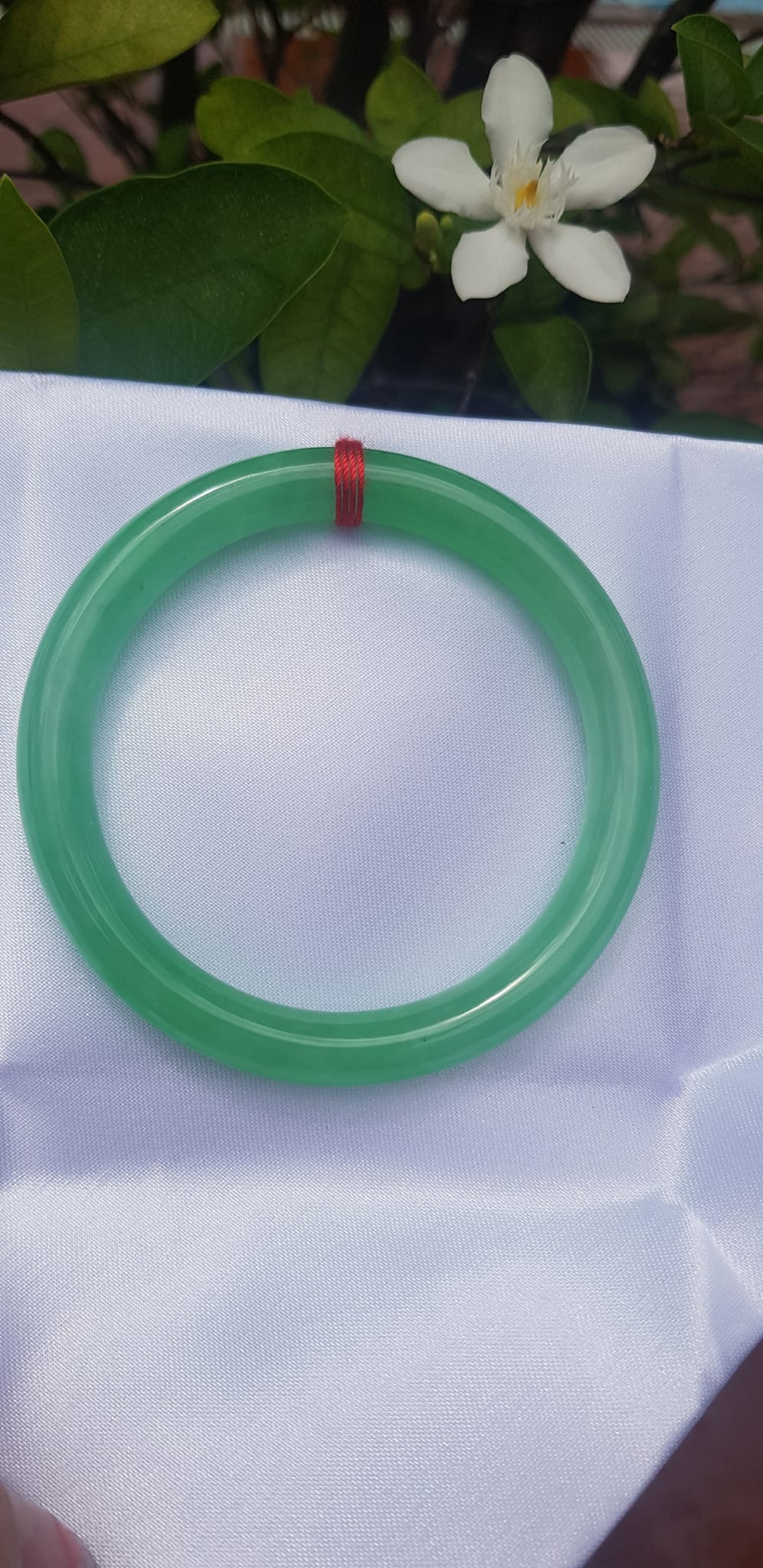 Vòng tay Nữ đá cẩm thạch Mới Lý Trong Size 54mm x cọng 7mm Vòng màu Xanh lá tươi 53kg - 62kg Nữ mệnh Mộc mệnh Hỏa Thủy đeo ạ
