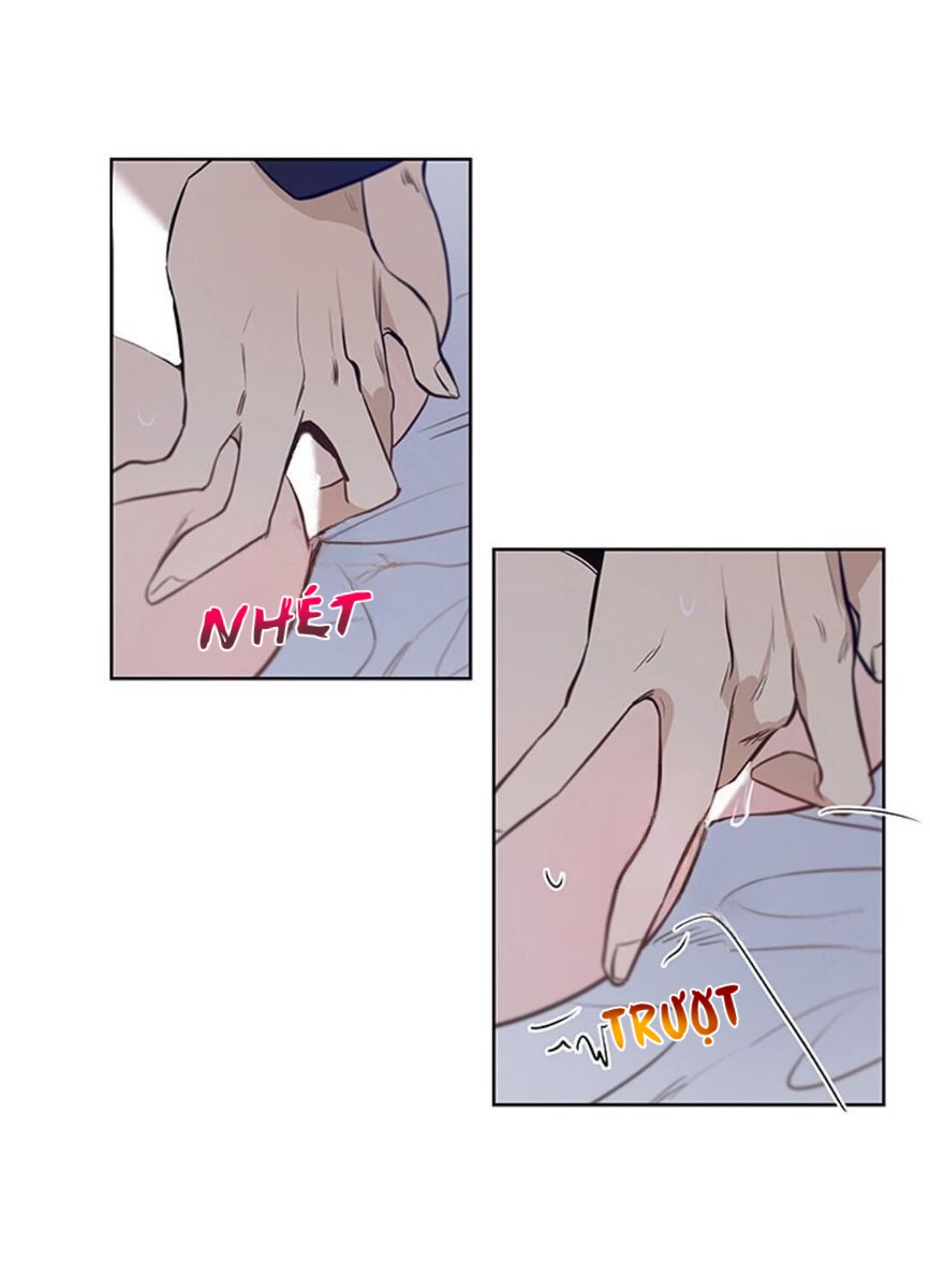 thành phố cạm bẫy chapter 5 25