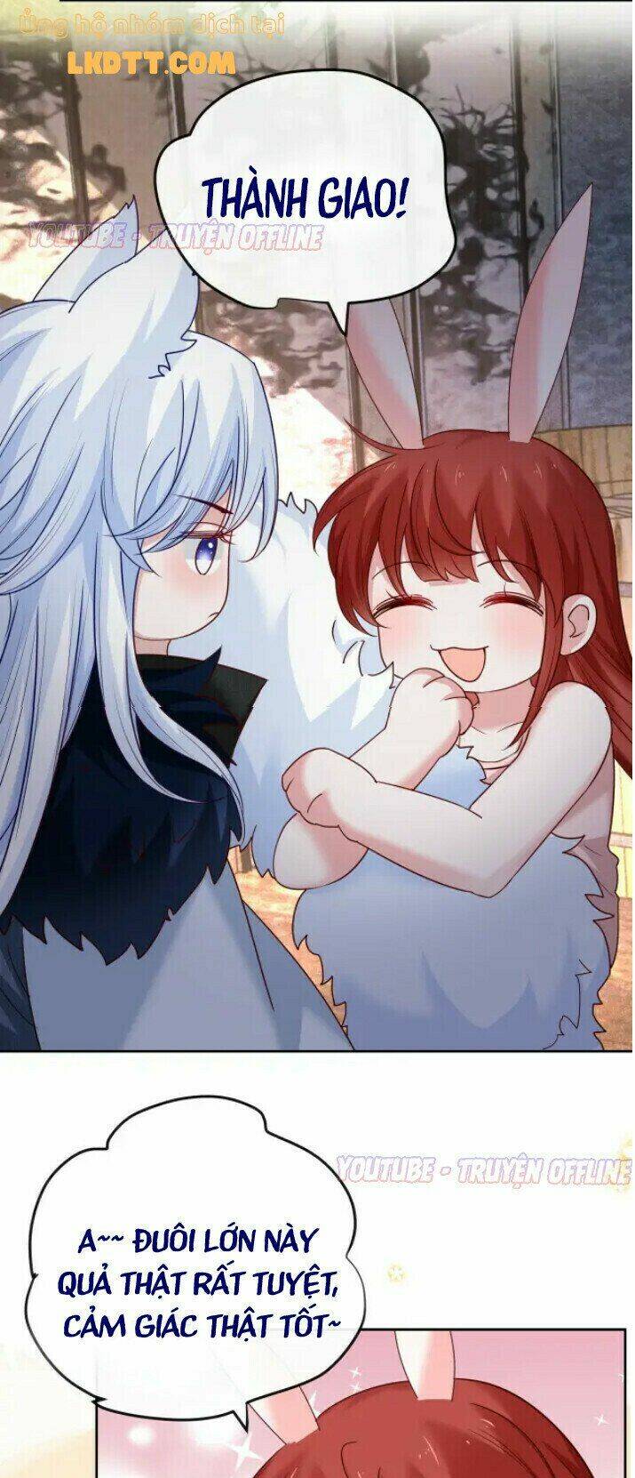 hắc hóa nam chính trực tuyến nuôi thỏ chapter 32 19